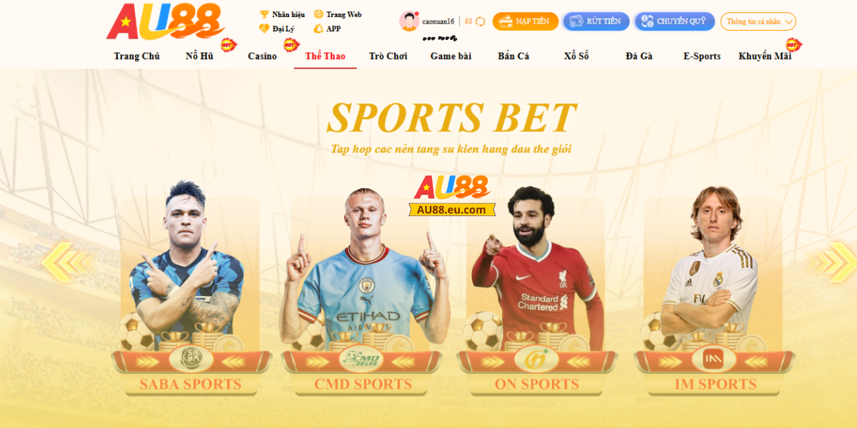 Giới thiệu trang cá độ bóng đá đáng tin cậy hiện nay